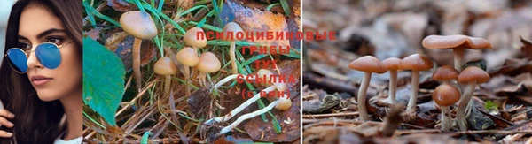 первитин Балабаново