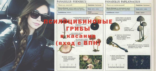 мескалин Баксан