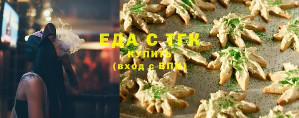 прущие грибы Осинники