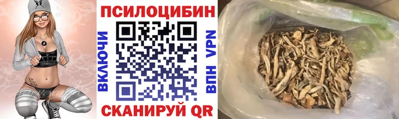 Псилоцибиновые грибы мухоморы  Шлиссельбург 